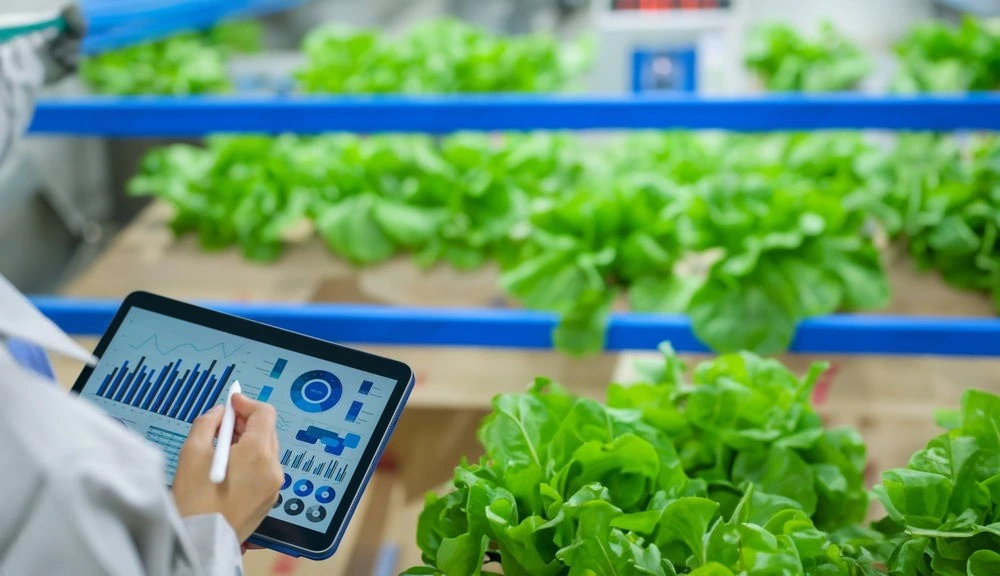 Plant maintenance software for managing maintenance tasks and schedules